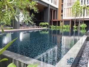 Condo for rent or sell at Phra Khanong, 1 BR 36.55 sqm.