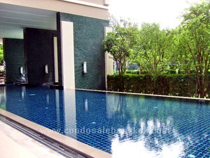 Fully furnished condo for sale 1 bedroom in Chidlom. Walk to Chidlom BTS