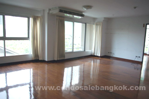 Excellent location BUT CHEAP!!! close to Ploenchit BTS.?Very Good deal?in Navin Court condo. 3+1 bedrooms 171 sq.m.