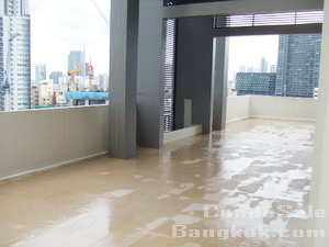 Duplex Penthouse for sale in Sukhumvit easy access to Ekamai BTS. 466 sq.m. Brandnew building. Still Bared shell. Huge terrace outdoor!