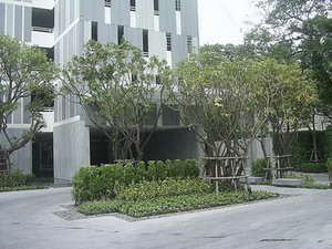 Brand New 39 by Sansiri  condo for sale on Sukhumvit 39 in Bangkok  Just opposite to Emporium and a few steps to Prompong BTS.
