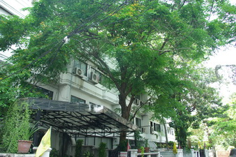 Townhouse with private pool for sale. Tastefully decorated built-in and nice wooden floor. Spacious 3 bedrooms ensuited bathrooms. Peaceful and good area.