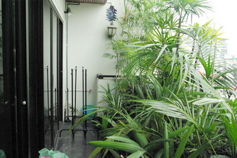 Condo for sale in Sukhumvit 31. Very peaceful and nice area. Nice greenery view.  190 sq.m. 2 bedrooms in duplex style.