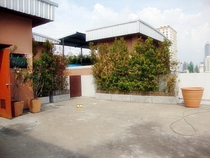 Penthouse condo for sale in Bangkok. Special with roof top terrace. 220 sq.m. 3 bedrooms. Easy access to Siam Paragon. Unique!