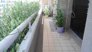 Spacious condo for sale in Bangkok Sukhumvit near Asok BTS. 177 sq.m. 3 bedrooms 2 bathrooms with built-in furniture. Easy to many place such as Terminal 21, BTS. Nice balcony with Panoramic city view!