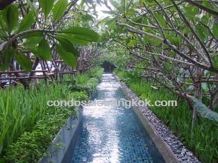 Luxury condo for sale for sale in Sathorn area. Super high floor. Tastefully furnished 3 bedrooms 197.76 sq.m. at 